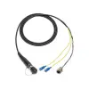 HF-NOMSC1-BO-050 thumb 0