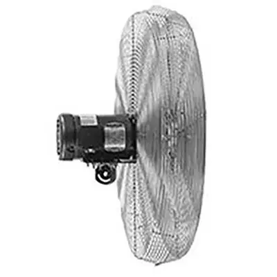 IHP24H main image