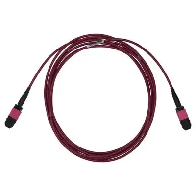 C50-8120-3FT main image