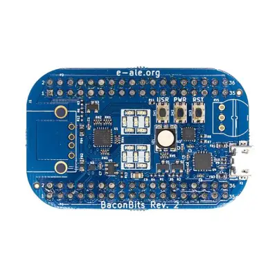 Baconbits-R2 main image