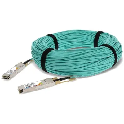 QSFP-100GB-AOC100M-FT-C main image