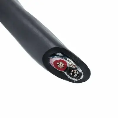 45382 BK199 main image