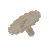 JPEPL5034INI thumb 0
