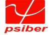 Psiber Data Systems, Inc.