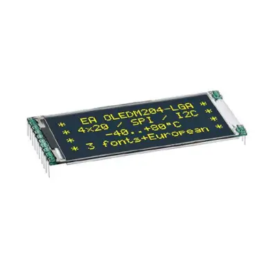 EA OLEDM204-GGA main image