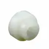 12SWS0880 thumb 0