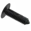 495231 thumb 0