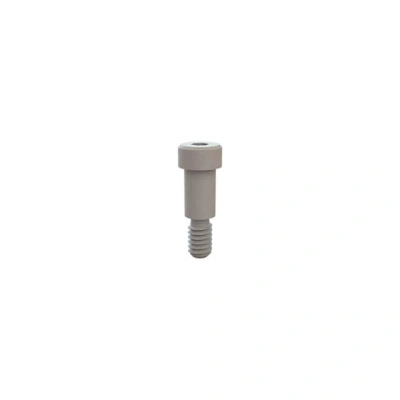 31031050 main image