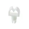 MWSELF-1-4.1-19 thumb 0