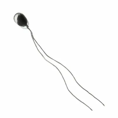 112-103FAD-B01 main image