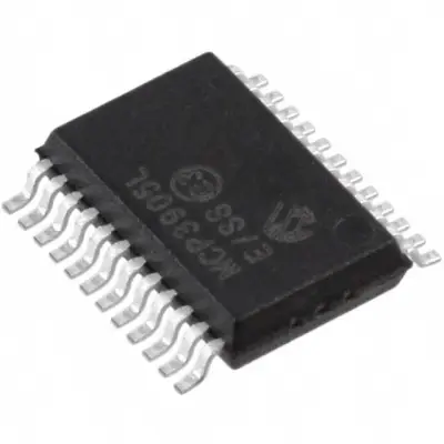 MCP3905L-E/SS main image