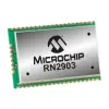 RN2903A-I/RM103 thumb 0