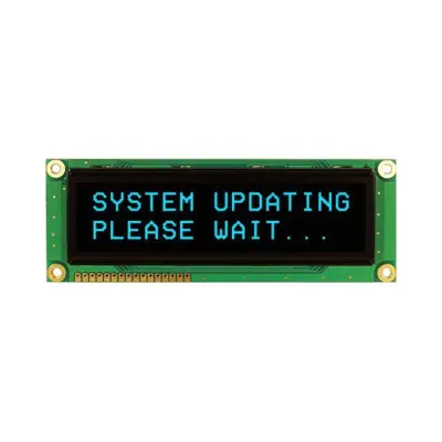 NHD-0216SZW-BB5 main image