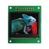 NHD-1.69-160128UGC3 thumb 0