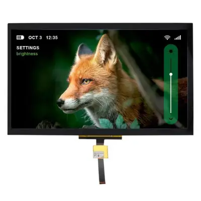 NHD-10.1-1024600BF-LSXP-CTP main image