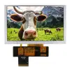 NHD-5.0-800480AF-ASXP thumb 0