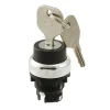 A22RK-2ML thumb 0