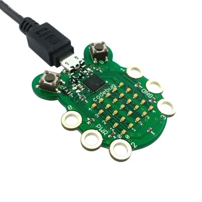 CODEBUG main image