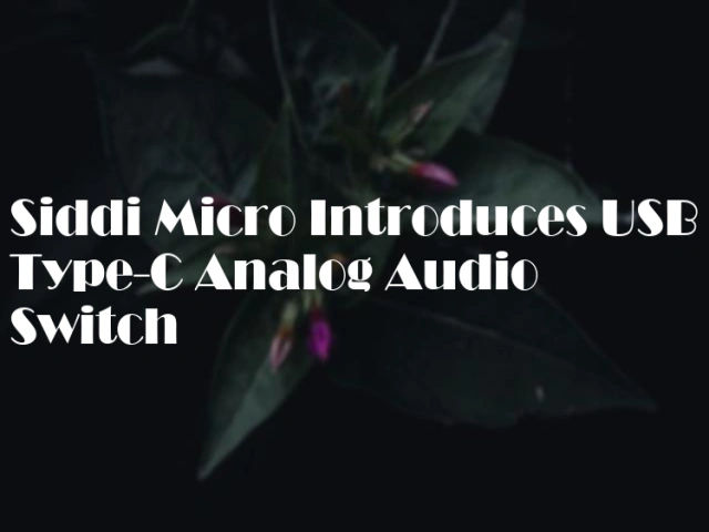 Siddi Micro Introduces USB Type-C Analog Audio Switch