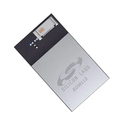 BGM113A256V2R main image