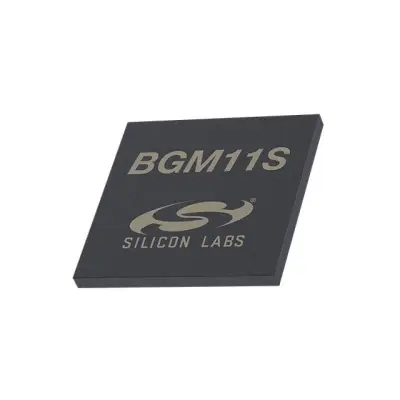 BGM11S12F256GA-V2 main image