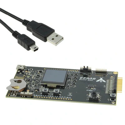 SLSTK2021A main image