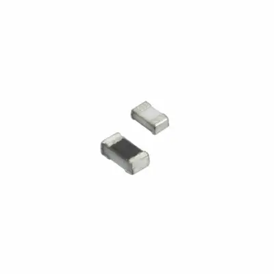 RG1608N-101-C-T5 main image
