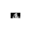 PM000DL6C thumb 0