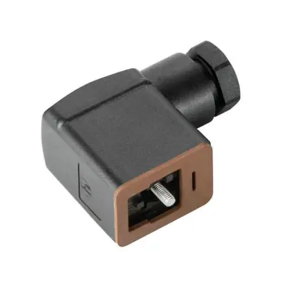 1682730000 main image