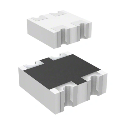 RN102PJ300CS main image
